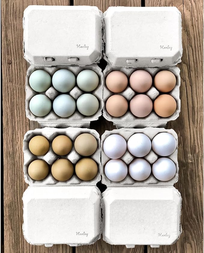White Half Dozen Blank Egg Cartons – 6-Pack Flat Top Half-Dozen Holder, Recyclable Pulp, Ideal for Farm-Fresh Eggs, DIY Custom Labeling, Eco-Friendly Storage - 20 Pack