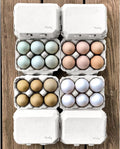 White Half Dozen Blank Egg Cartons – 6-Pack Flat Top Half-Dozen Holder, Recyclable Pulp, Ideal for Farm-Fresh Eggs, DIY Custom Labeling, Eco-Friendly Storage - 20 Pack
