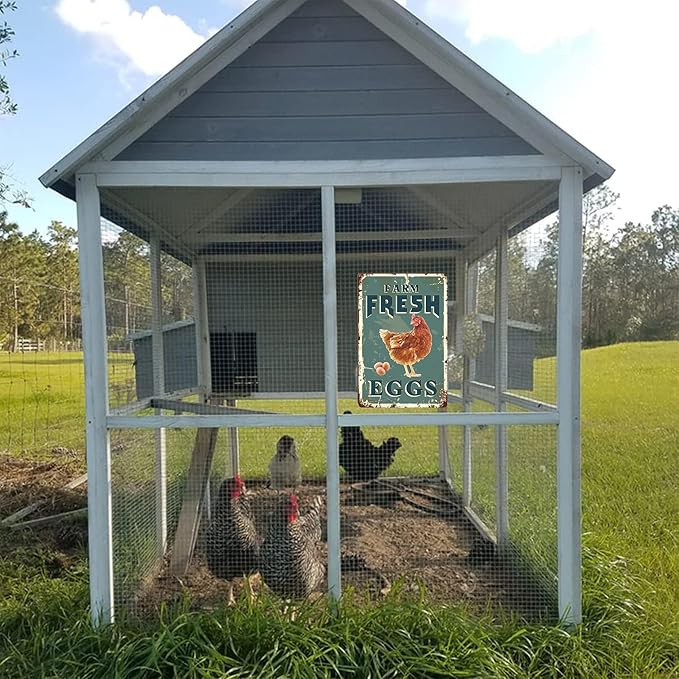 Vintage Chicken Coop Metal Signs - Farm Fresh Eggs Chicken Tin Sign, Funny Metal Signs Accessories Outdoor Home Wall Decor 8x12 inch