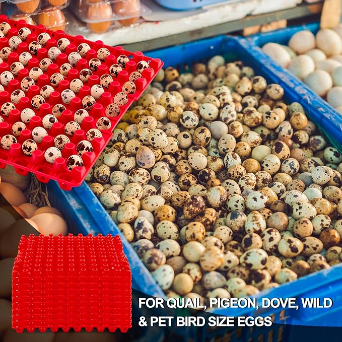 10 Pcs 90 Egg Plastic Trays Quail Egg Flats Holder for Quail Pigeon Dove Bird Flat Carton (Red)
