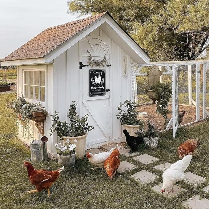 Funny Chicken Decorations for Coop -Crazy Chicken Lady Lives Here Expect Fowl Language Tin Sign Farm Chicken Coop Metal Decor Chicken Sign Chicken Gifts 8x12 Inch