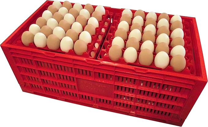 RITE FARM PRODUCTS EGG TRAY CARTON TRANSPORT CRATE CHICKEN SHIPPING POULTRY CASE
