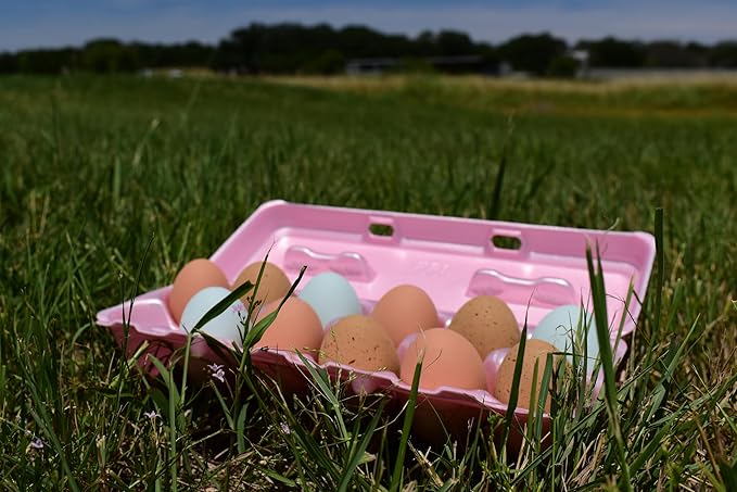 Foam Egg Cartons 25 Pack – Pink – Made in USA – Reusable 12-Egg Cartons for Chicken Eggs