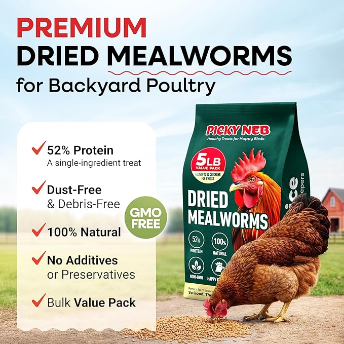 Dried Mealworms 100% Non-GMO 5 Lb - Mealworms for Birds, Chickens, Ducks - Perfect High-Protein Treats - Whole Large Meal Worms, Dried for Chickens and Bluebird Food Bulk