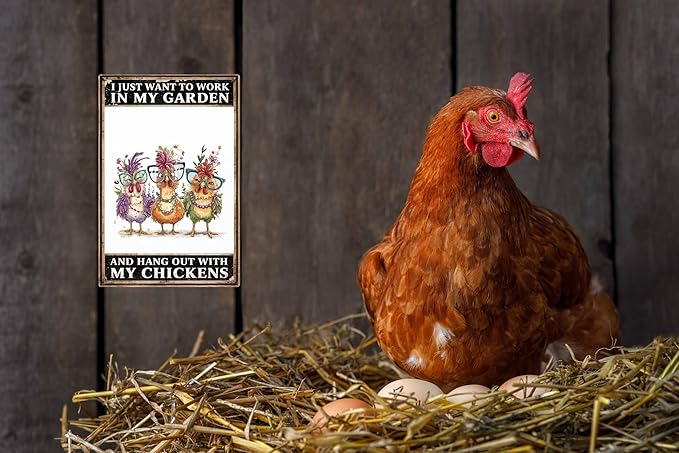 Funny Chicken Coop Signs I Just Want To Work In My Garden And Hang Out With My Chickens Tin Signs for Home Farmhouse Garden Decor 8x12 in