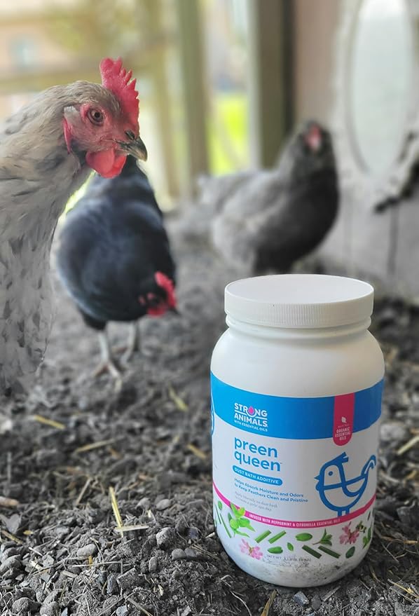 Preen Queen Dust Bath Additive for Chickens - Helps Remove Excess Oils & Keep Feathers Clean with Peppermint & Citronella Essential Oils (5 lb. Jar)