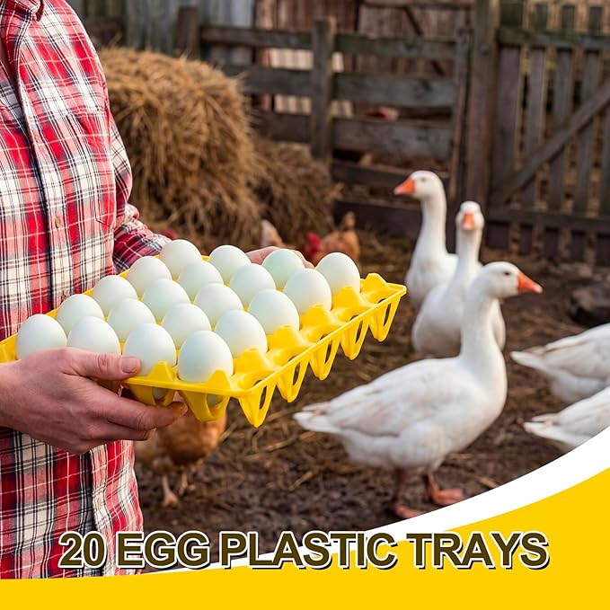 10 Pack 20 Plastic Egg Trays Stackable Duck Eggs Crates Multiple Egg Flats Holder Cartons Storing, Sorting, and Shipping for Duck Goose Turkey Peafowl