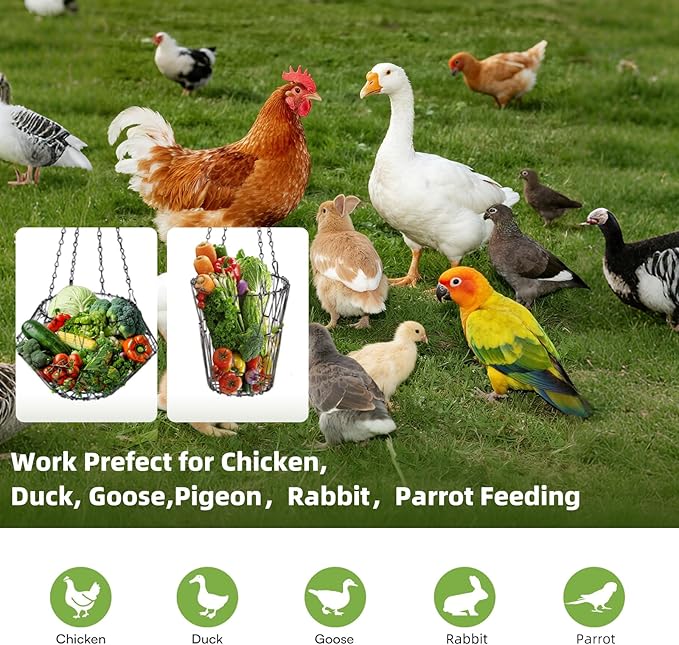 2 PCS Hanging Chicken Feeder Foldable Poultry Vegetable & Fruit Feeder Basket with Adjustable Chain, Durable Iron Wire Chicken Toys for Coop 2 Pack M