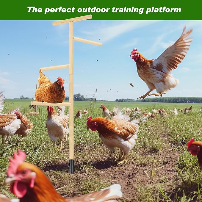 2 Pcs Extra Large Chicken Perch Toy for Coop 57" Wooden Chick Perch Stand with Strong Roosting Bar Chicken Enrichment Toys for Coop Brooder Large Bird, Easy to Assemble, Comes with Installation Video