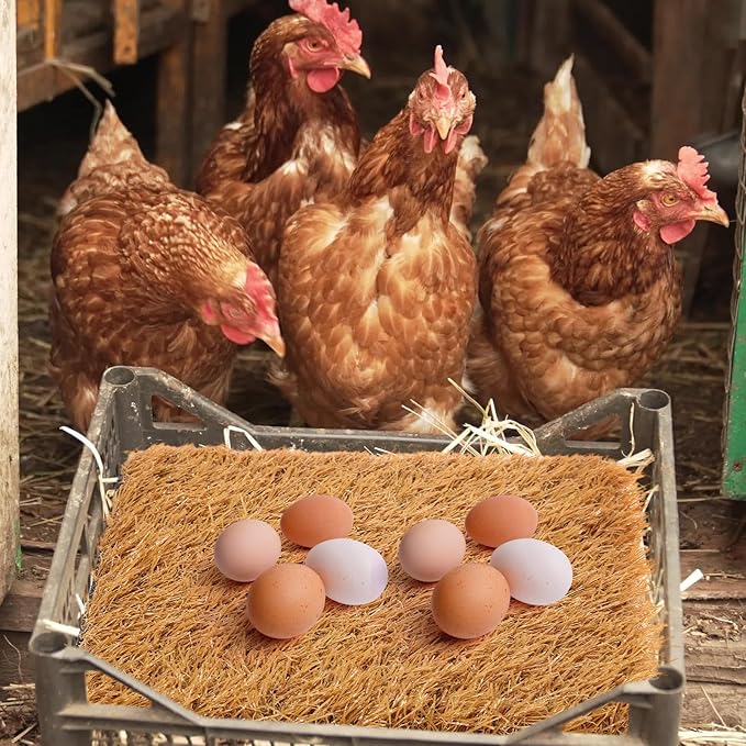 Zhengmy 12 Pcs Chickens Nesting Pads Set Nest Box Bedding Washable Nesting Pads for Chicken Coop, Artificial Grass Rug Carpet Synthetic Turf Mat, 12 x 12 x 1.2 Inches(Brown)