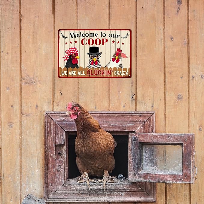 Welcome to Our Coop We Are All Cluckin’ Crazy Metal Tin Sign Funny Chicken Coop Decor Chicken Wall Art Farmhouse Farm Home Coop Entrance Wall Decor 8x12 Inch
