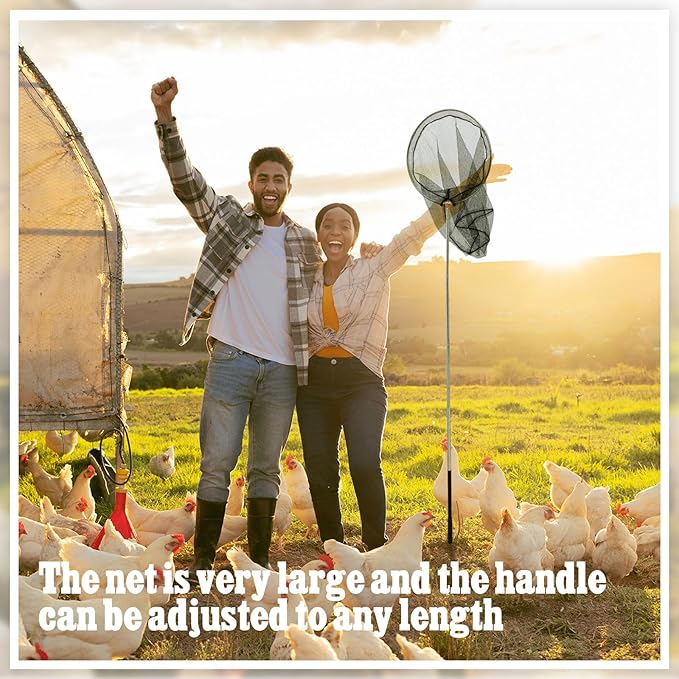 Windyun Chicken Catcher Poultry Catch Net with Stainless Steel Telescopic Pole for Outdoor Poultry(15.75 x 17.72 Inch Net with 4.92 ft Pole)