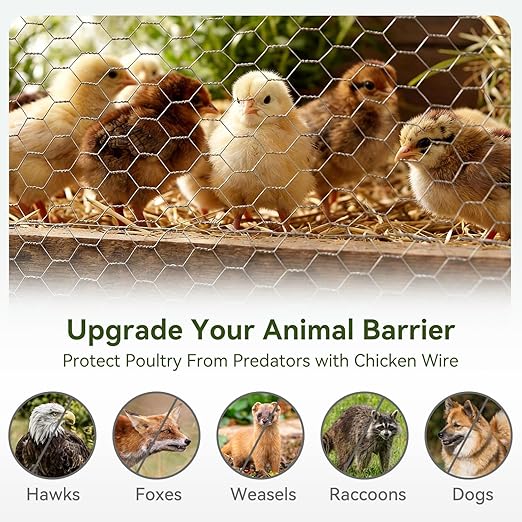Amagabeli 16in x 82ft Chicken Wire 40cm x 25m Poultry Wire Netting Hexagonal Galvanized Mesh Garden Fence Roll Barrier for Pet Rabbit Chicken Fencing Bird Raised Bed