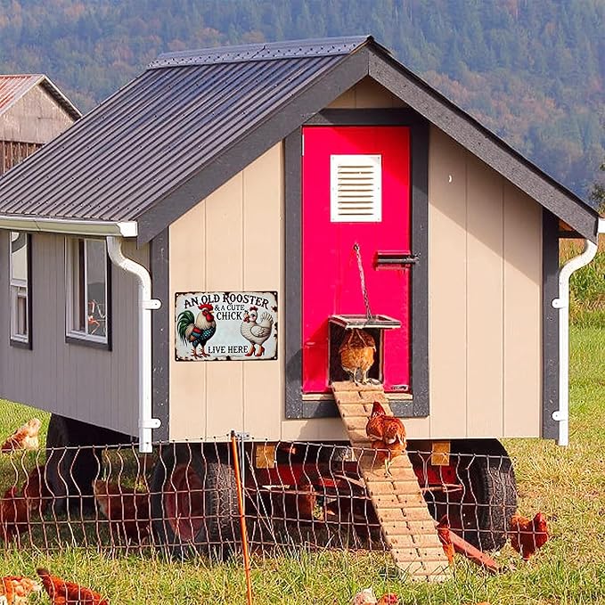 Vintage Chicken Coop Metal Signs - An Old Rooster & A Cute Chick Live Here Chicken Tin Sign, Funny Metal Signs Accessories Outdoor Home Wall Decor 8x12 inch