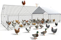 Large Chicken Coop Metal Chicken Runs for Yard 20x10x6.5 ft Chicken Coop with Cover Gallinero para Gallinas Heavy Duty Chicken Cage Rabbit Duck Quail Coop Lockable Door with Waterproof Anti-UV Cover