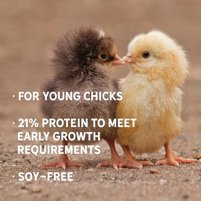 New Country Organics | Starter Feed for Baby Chicks | Soy-Free | 21% Protein | Certified Organic and Non-GMO | 10 Lbs