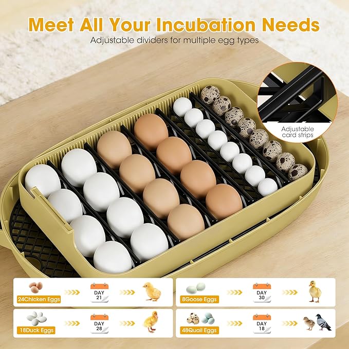 24 Egg Incubator for Hatching Eggs, Automatic Egg Turning, Temperature & Humidity Control, Egg Candler, for Hatching Chicken, Duck, Quail, Goose - Ideal for Farm, Classroom, Home Use