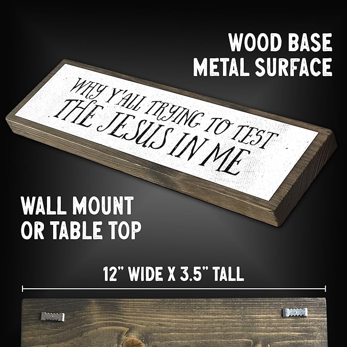 Wood & Metal Southern Sign – Weatherproof Indoor Outdoor Wall Decor – Rustic Charm with "Why Y’all Trying To Test The Jesus In Me" – Gift-Wrapped & Ready to Give