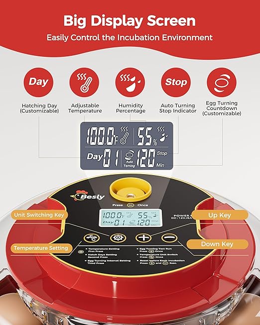 Egg Incubator, Automatic Egg Incubator, 18 Egg Incubator, Incubator for Hatching Eggs, Chicken Egg Incubator – Temperature & Humidity Control, Auto Turner, Alarm & Candling for Backyard Home