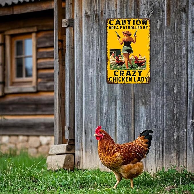 Funny Chicken Metal Sign Vintage Caution Area Patrolled By Crazy Chicken Lady Tin Signs Farm Coop Wall Decor Farmhouse Kitchen Home Garden Yard Hen Tin Poster 12x8 Inch