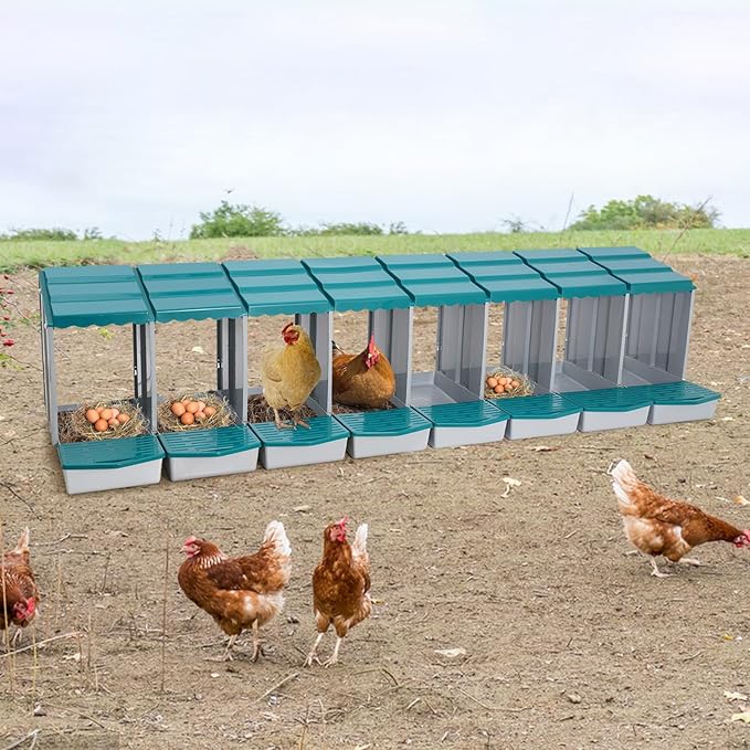 Chicken Nesting Boxes 8 Compartment PP Nesting Box with Inclined Nesting Boxes & Vented Holes Wall Mount Chicken Laying Boxes for Chicken Coop (Green)