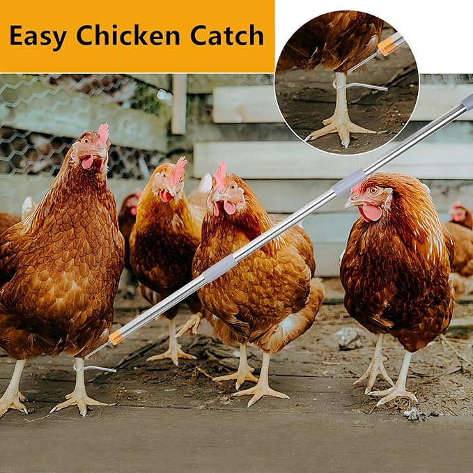 Chicken Catcher,74 inches Adjustable Pole Chicken Catcher Leg Hook, Suitable for Catching Small Duck,Goose,Bird,Fish, Skunk Bat and Raccoon etc（15.3 x 23.2 Inch Net with 75.5 Inch Pole）