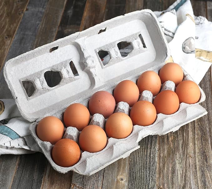 Printed Natural Pulp Egg Cartons Holds Up to Twelve Eggs - 1 Dozen Extra Large - Strong Sturdy Material Perfect For Storing Extra Eggs - by MT Products (15 Cartons) - Made in The USA