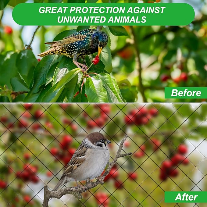 SPORTYOUTH Bird Netting for Garden, 50x50 ft 3/4" Square Mesh Heavy Duty Nylon Chicken Coop Poultry Hawk Aviary Netting for Blueberry Bushes Fruit Trees Vegetable Against Birds Deer Squirrels