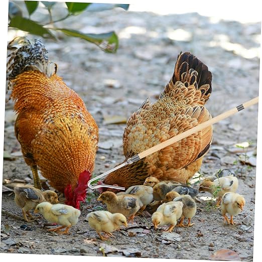 Chicken Catcher Leg Hook Farm Equipment Poultry Management Tool Animal Net for Chicken Supplies