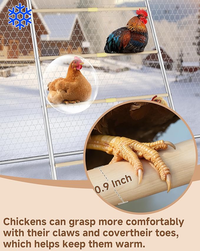 Stainless Steel Chicken Roosting Bars for Coop, 55" L x 31" W Roosting Bars for Chickens in Coop, Chicken Ladder Toys, Farm Chicken Coop Accessories for Backyard Poultry, Chicks