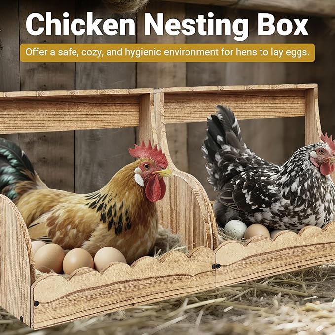 2-Pack Chicken Nesting Box, 2 Compartment Hen & Egg Laying Boxes, Easy Assembly Poultry Coop Accessories for Chickens Large