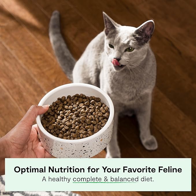 Open Farm, Grain Free Dry Cat Food, High-Protein Kibble for a Complete & Balanced Diet, Non-GMO Fruits & Vegetables, Prebiotic Fibers to Support Digestion, Catch-of-The Season Whitefish, 8lb Bag