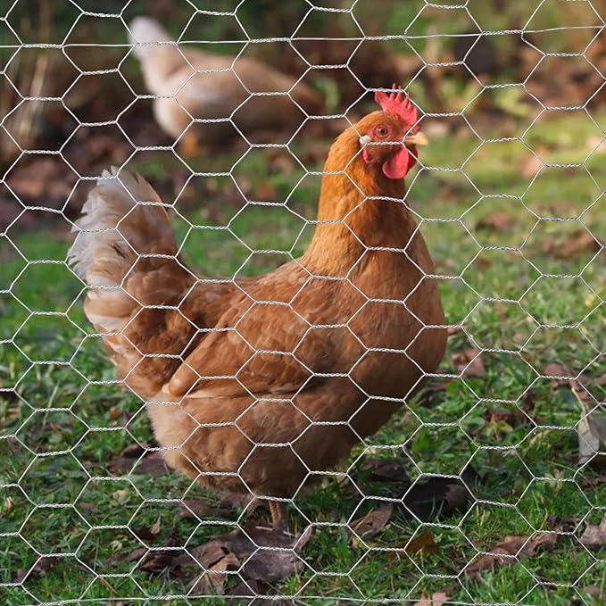20-Gauge Galvanized Hexagonal Poultry Netting Chicken Wire Rolled Fencing with Mesh Size 1-in (3 ft. x 150 ft.)