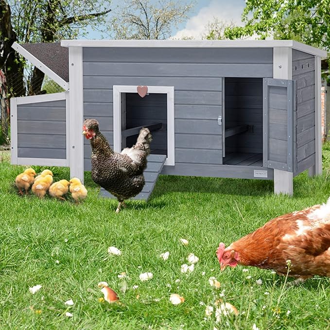 Petsfit Large Chicken Coop with Upgraded Perches, Wooden Outdoor Chicken Cage with Large Nesting Box, Weatherproof Open Asphalt Roof &Removable Bottom, Duck House, Rabbit Hutch