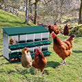 Chicken Nesting Box,Nesting Boxes for Chickens,Roll Away Nesting Boxes,10 Hole 2 Layer Hen Nest Boxes with Legs,Chicken Nesting Boxes,Easy Egg Collection,Cleanable Pull Out Hen Roosting Boxes