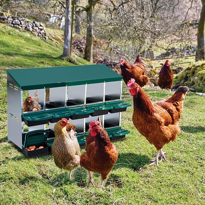 Wall-Mountable Galvanized Steel Chicken Nesting Boxes, 6/8Hole Metal Laying Box with Ventilated Design, Roll Away Egg Collection Tray, Weatherproof Hen Roosting Boxes for Coop