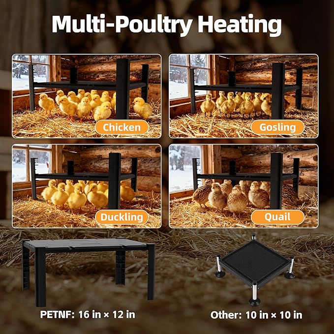 PETNF Brooder Plate for Chicks, Chick Heat Plate 11.8”×15.8” 140W, Adjustable 95–167°F Safe Warm Panel for 10–20 Chicks, Energy-Efficient Brooder Heater with 3-Way Height Stand for Chicken Coops