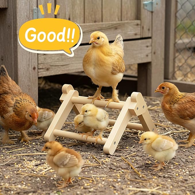 Innoland Chick Perch Foldable, Chick Toys Stable & No Assemble, Baby Chick Toys for Stand Training, 8.27" × 7.68" × 4.92" Roosting Perch for Chicks Brooder | Coop (S)