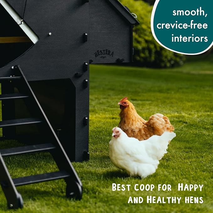Plastic Chicken Coop 25yr Lifespan - Large Chicken Coop for 8 Chickens Or 15 Bantams | 2 Rounded Perches for Chickens & Hens to Roost | Raised Hen House for Poultry with 2 Nesting Boxes & Ramp