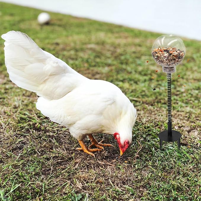 Oooct 4 Pack Chicken Pecking Toys with Swing Feeder, Coop Slow Feeder Toy for Chickens, Chicks, Ducks, Hens, Parrots & Poultry Enrichment