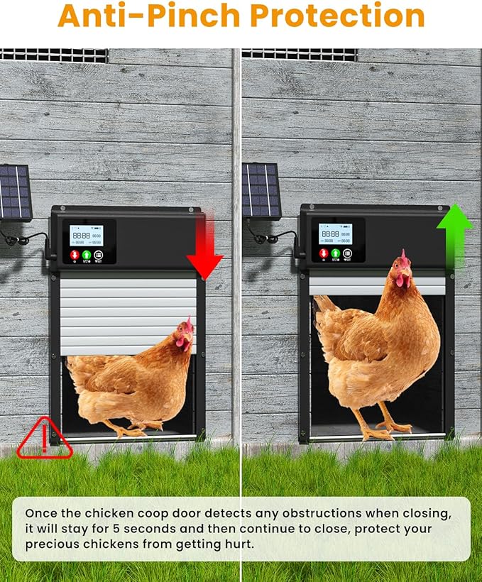 Automatic Chicken Coop Door with WiFi Remote Control, 2025 Upgraded 8000mAh Solar Powered Automatic Chicken Coop Opener with LCD Display & Timer & Light Sensor, with Anti-Pinch Design
