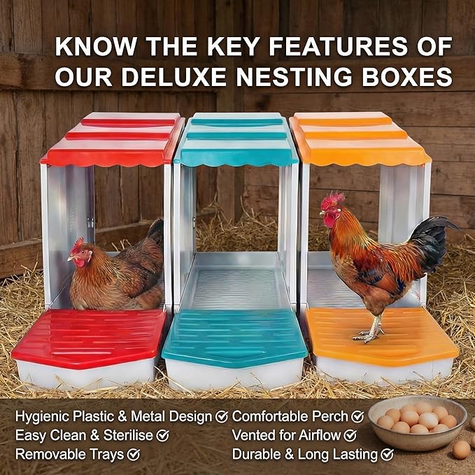 Chicken Nesting Boxes for Chickens, 3-Hole Modular & Detachable Roll-Away Egg Tray, Connectable up to 3 Units, Chicken Coop Accessory for Backyard & Farms