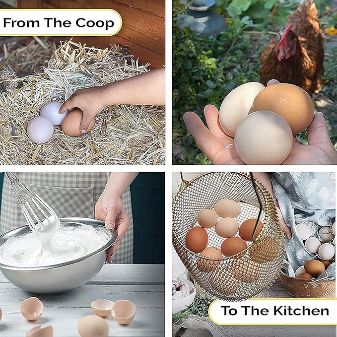 JIYUJIAHUA Egg Basket, Collapsible Mini Storage - Can Easily Load Eggs for Carrying and Collecting Eggs, Easy Washing, and Fast-drying, Country Primitive Farmhouse Style, DANLAN-001