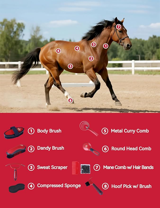 9-Piece Horse Grooming Brush Kit, Silicone Curry Comb & Grooming Brushes for Daily Care, Bathing & Shedding Shadowberry