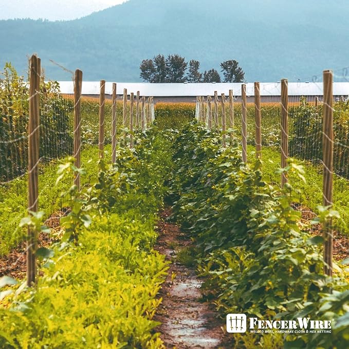 Fencer Wire Welded Wire Fence 12.5 Gauge, Galvanized Welded Fence Wire Roll, Mesh Size 2-Inch x 4-Inch, Hog Wire Fencing Cage, Multiple Use for Home Improvement & Animals Enclosure (5ft. x 100ft.)