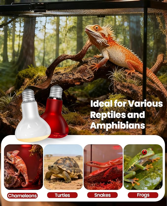 KINDEEP 100W Reptile Heat Lamp Bulbs: Reptile Day & Night Basking Spot Bulb Combo Amphibian Infrared Heat Lamp Bulb - UVA Basking Spot Daylight Heating Light Bulb for Lizard Tortoise Snake