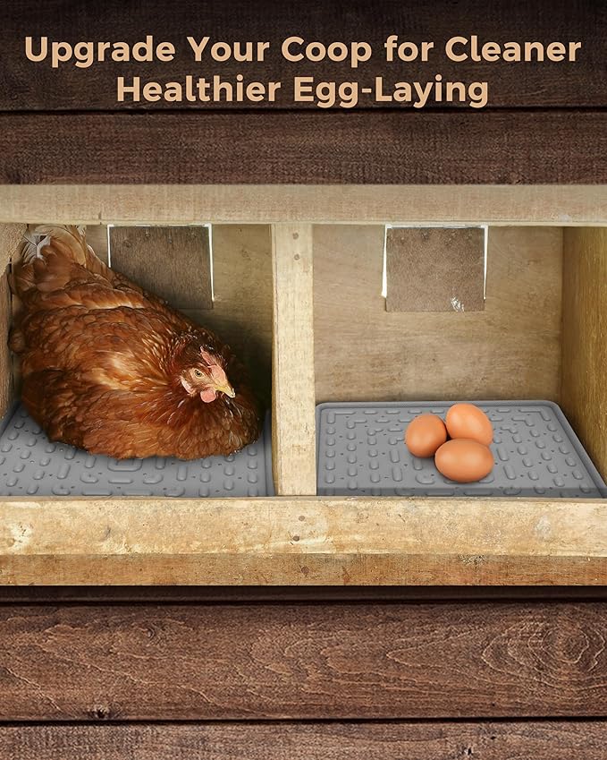 Washable & Reusable Nesting Pads for Chicken Coop - 6Pcs Chicken Nest Mats - Durable 12"x 12" Plastic Nest Box Pads for Egg Laying Hens (Soft, Easy Clean, Premium)