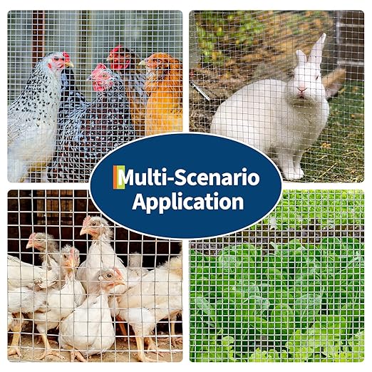 Chicken Wire 1/2 Inch 36in x 50ft Galvanized Welded Wire Mesh Roll, Chicken Wire Fence for Poultry Rabbit Snake Gopher Cage, Garden Plant Fencing & Animal Netting - Silver