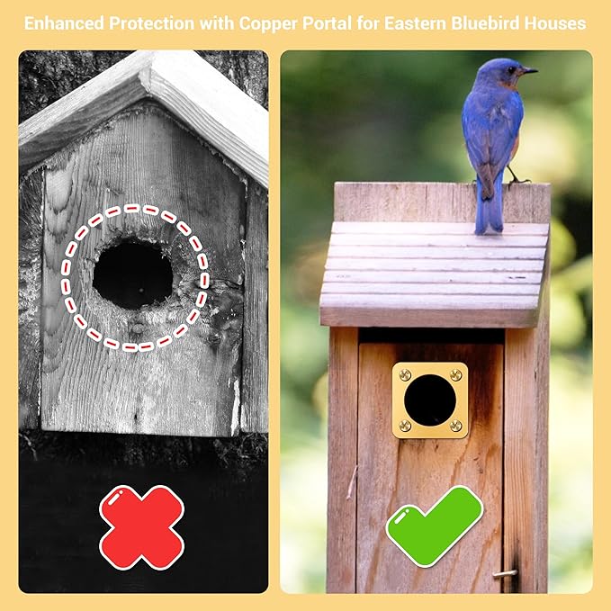 AQKILO Birdhouse Predator Guard, Helping Reduce Nest Destruction and Enhance Safety for Bird Chicks, 4 Pack, 1 1/4" (1.25in)