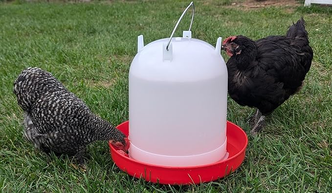 Hen's Choice 8L/2.1 gal Chicken Waterer, Adjustable Legs (Red)